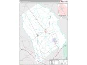 Effingham County, GA <br /> Wall Map <br /> Premium Style 2024 Map