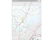 Forsyth County, GA <br /> Wall Map <br /> Premium Style 2024 Map
