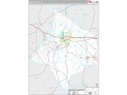 Newton County, GA <br /> Wall Map <br /> Premium Style 2024 Map