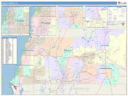 Pasco <br /> Wall Map <br /> Color Cast Style 2024 Map