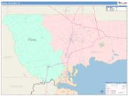 Wakulla <br /> Wall Map <br /> Color Cast Style 2024 Map