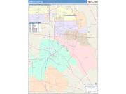Houston <br /> Wall Map <br /> Color Cast Style 2024 Map