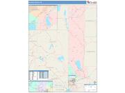 Washoe <br /> Wall Map <br /> Color Cast Style 2024 Map