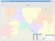 Bottineau <br /> Wall Map <br /> Color Cast Style 2024 Map