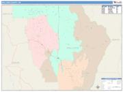 Wallowa <br /> Wall Map <br /> Color Cast Style 2024 Map