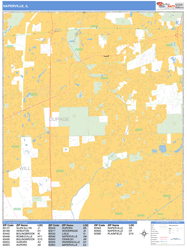 Naperville Wall Map