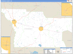 Atkinson County, GA Wall Map