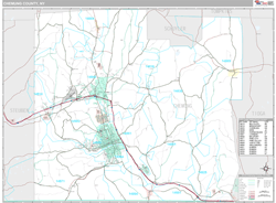 Chemung County, NY Wall Map