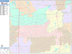 Naperville Wall Map