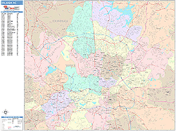 Raleigh Wall Map