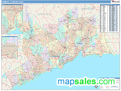 Danbury Metro Area Wall Map