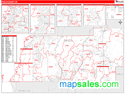 Pasco County, FL Zip Code Wall Map