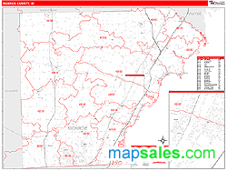 Monroe County, MI Zip Code Wall Map