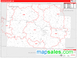 Coshocton County, OH Zip Code Wall Map