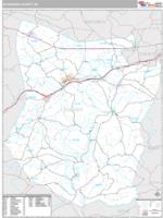 Schoharie County, NY Wall Map