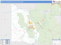 Puget Sound Metro Area Wall Map