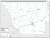 Randolph County, AR Wall Map Zip Code