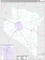 Appling County, GA Wall Map Zip Code