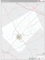 Bleckley County, GA Wall Map Zip Code