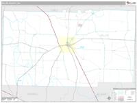 Miller County, GA Wall Map Zip Code