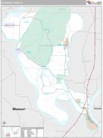 Alexander County, IL Wall Map