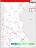 Juneau County, WI Wall Map